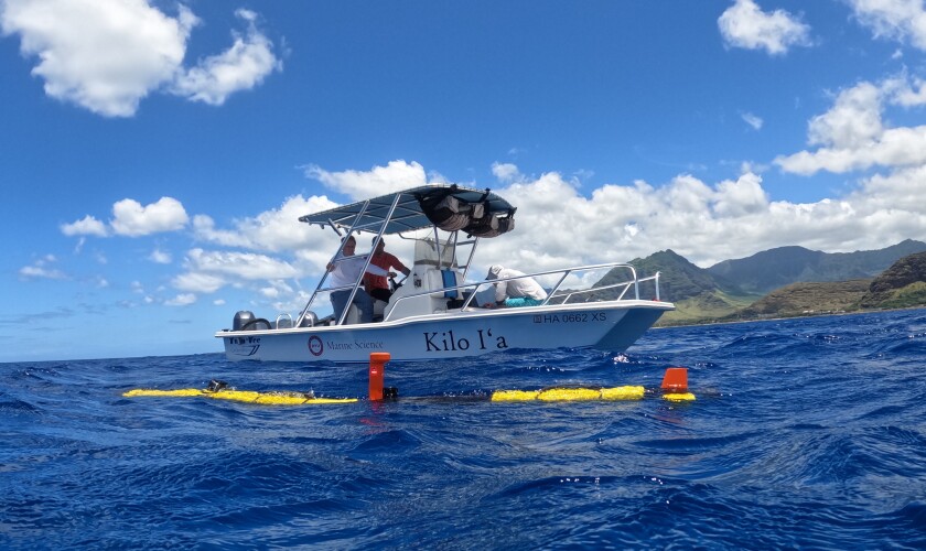 Autonomous underwater robots deployed from a research boat